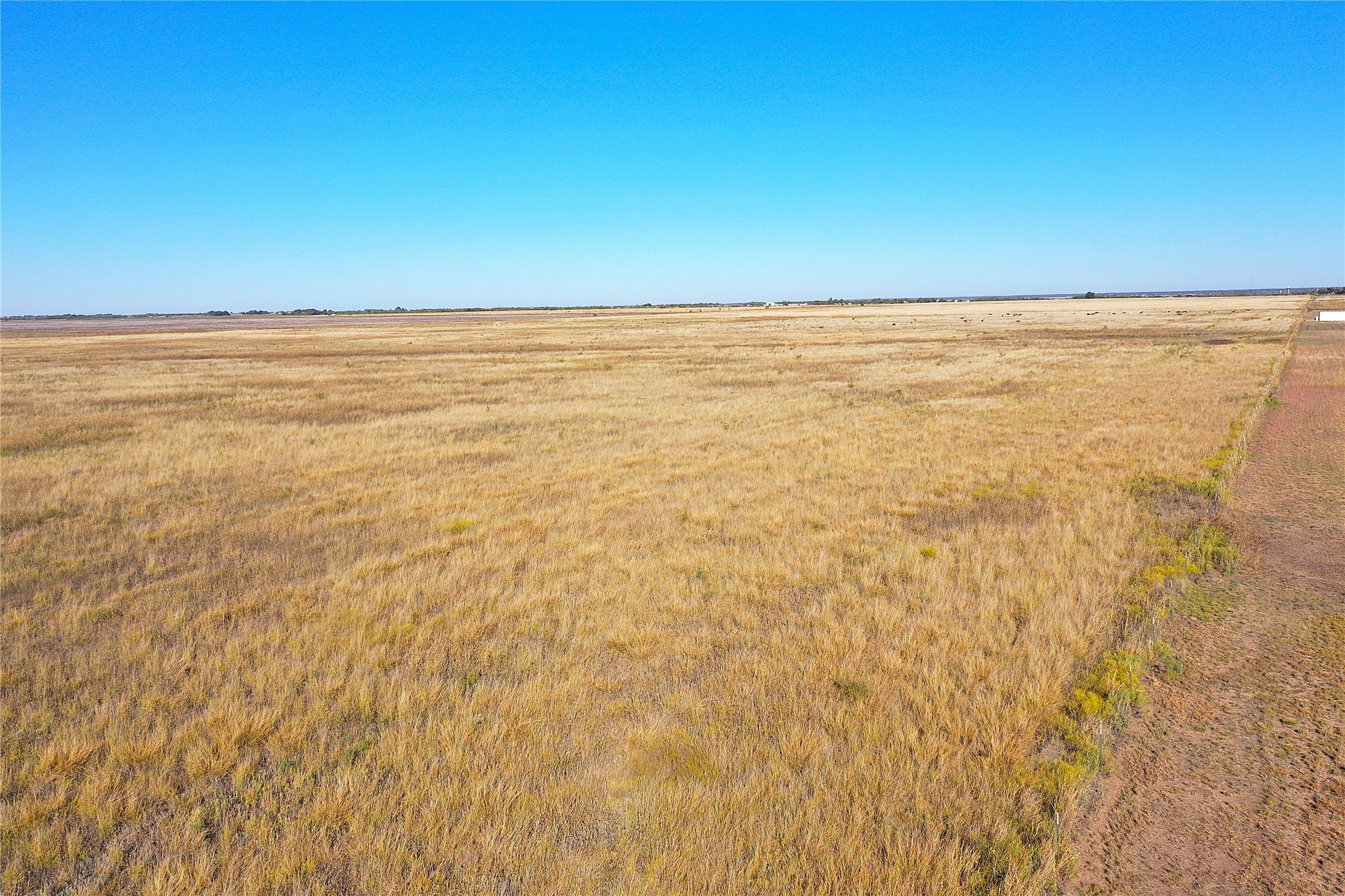 160 Acres Tbd County Road 428 Hawley TX 79525