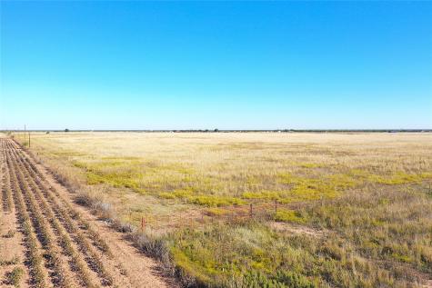 160 Acres Tbd County Road 428 Hawley TX 79525