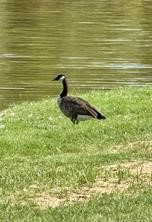 Tbd Horseshoe Bend Trail Weatherford TX 76087