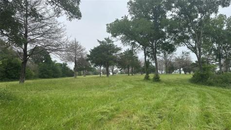 TBD Hwy 84 W Mexia TX 76667