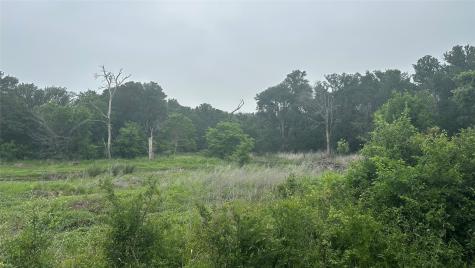 Tbd Hwy 84 W Mexia TX 76667