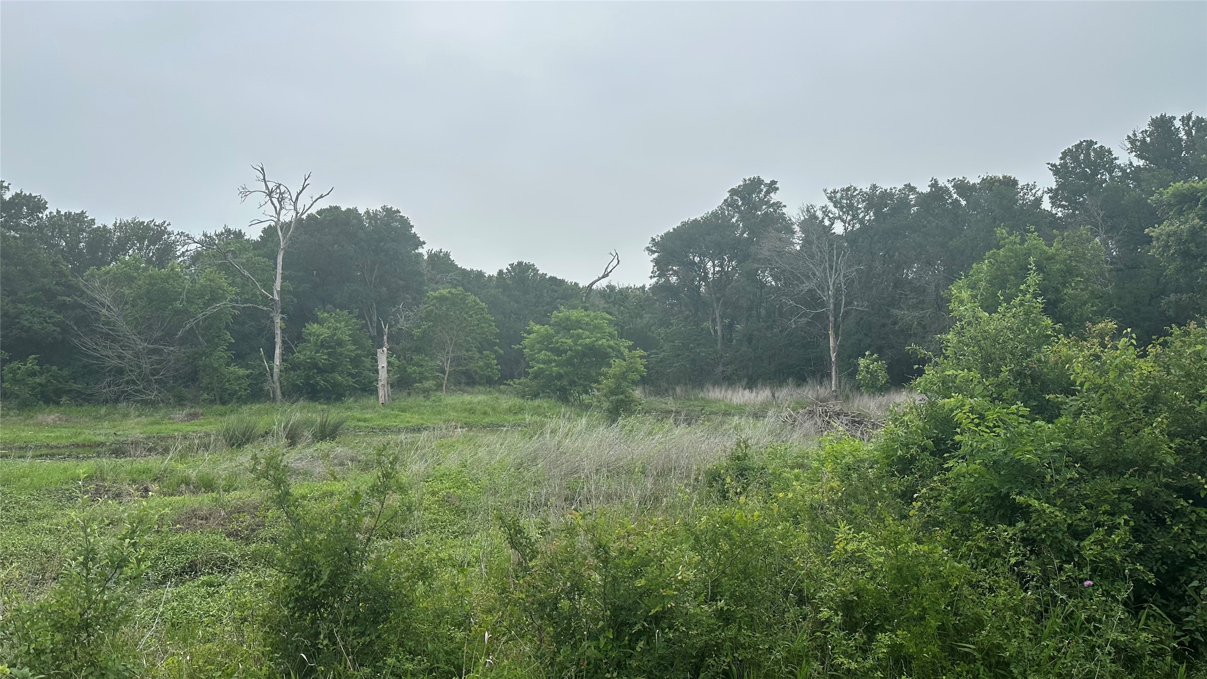 Tbd Hwy 84 W Mexia TX 76667