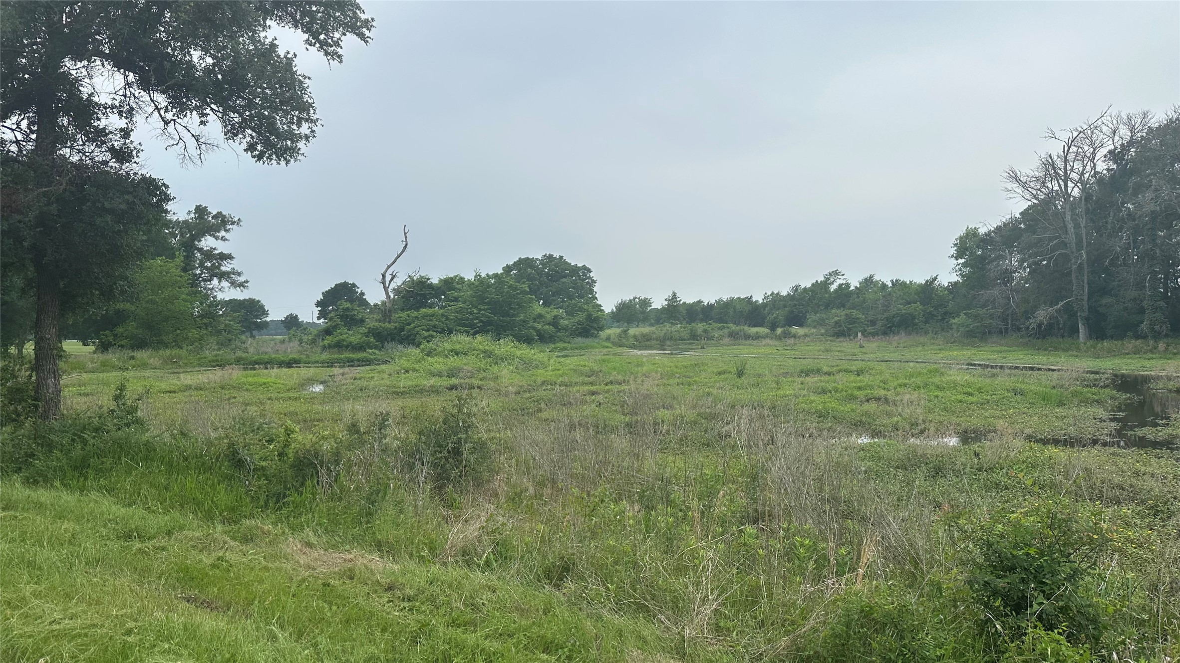 Tbd Hwy 84 W Mexia TX 76667