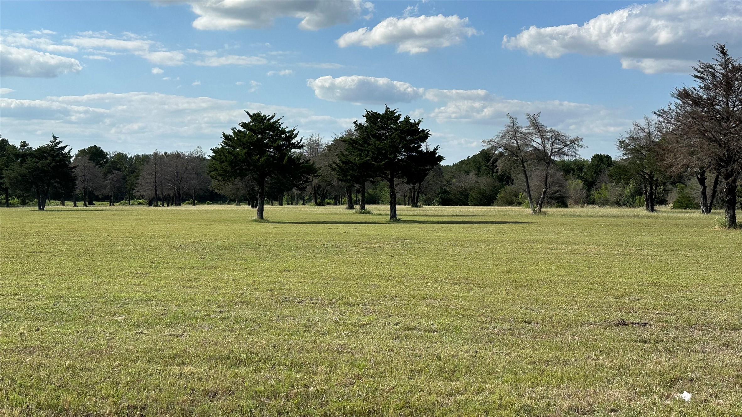 Tbd Hwy 84 W Mexia TX 76667