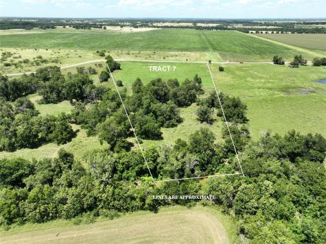 Tbd Tract #1 & #7 E Travis Holland TX 76534