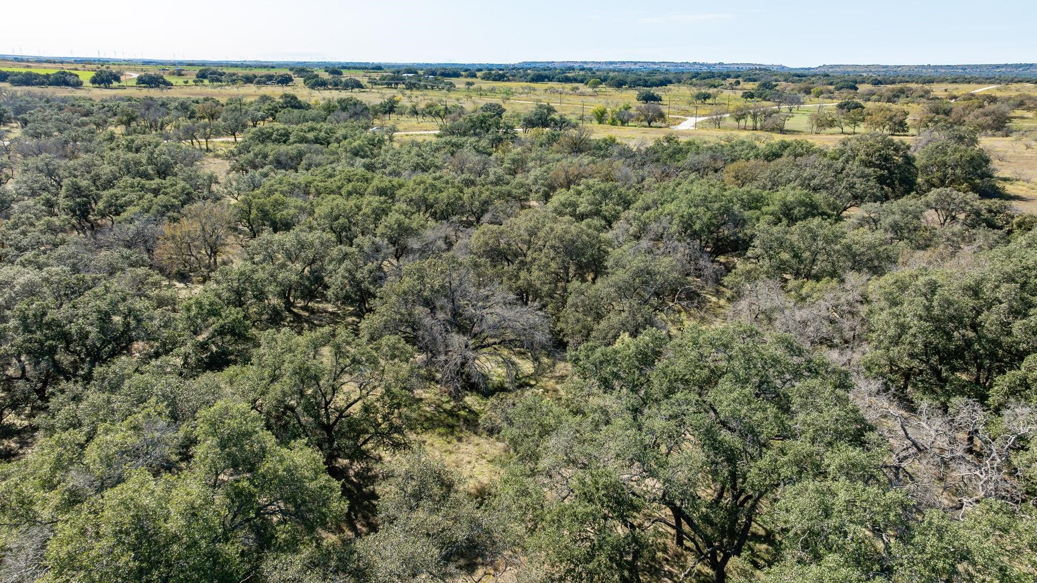 Lot 12 Pecan Valley Drive Energy TX 76452
