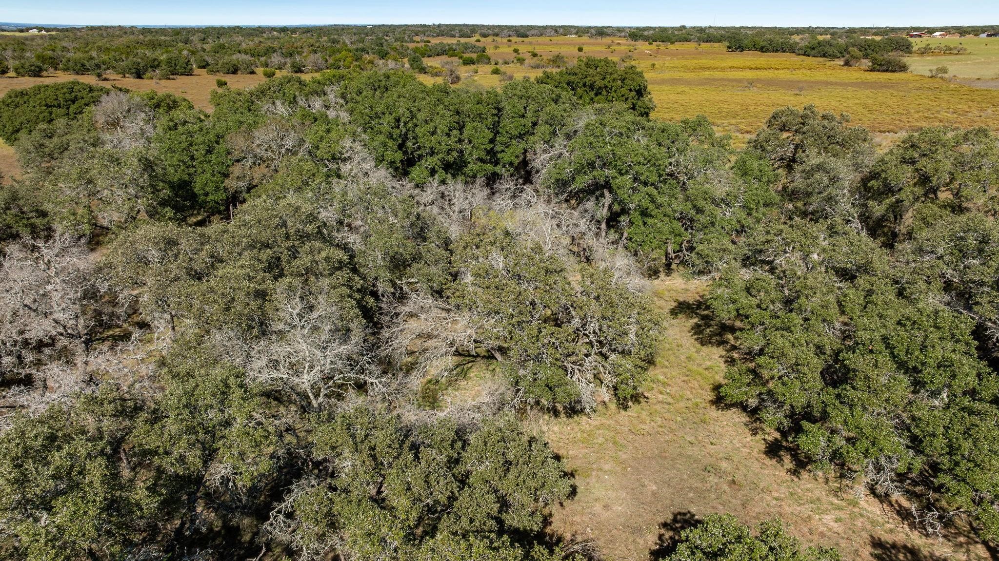 Lot 12 Pecan Valley Drive Energy TX 76452
