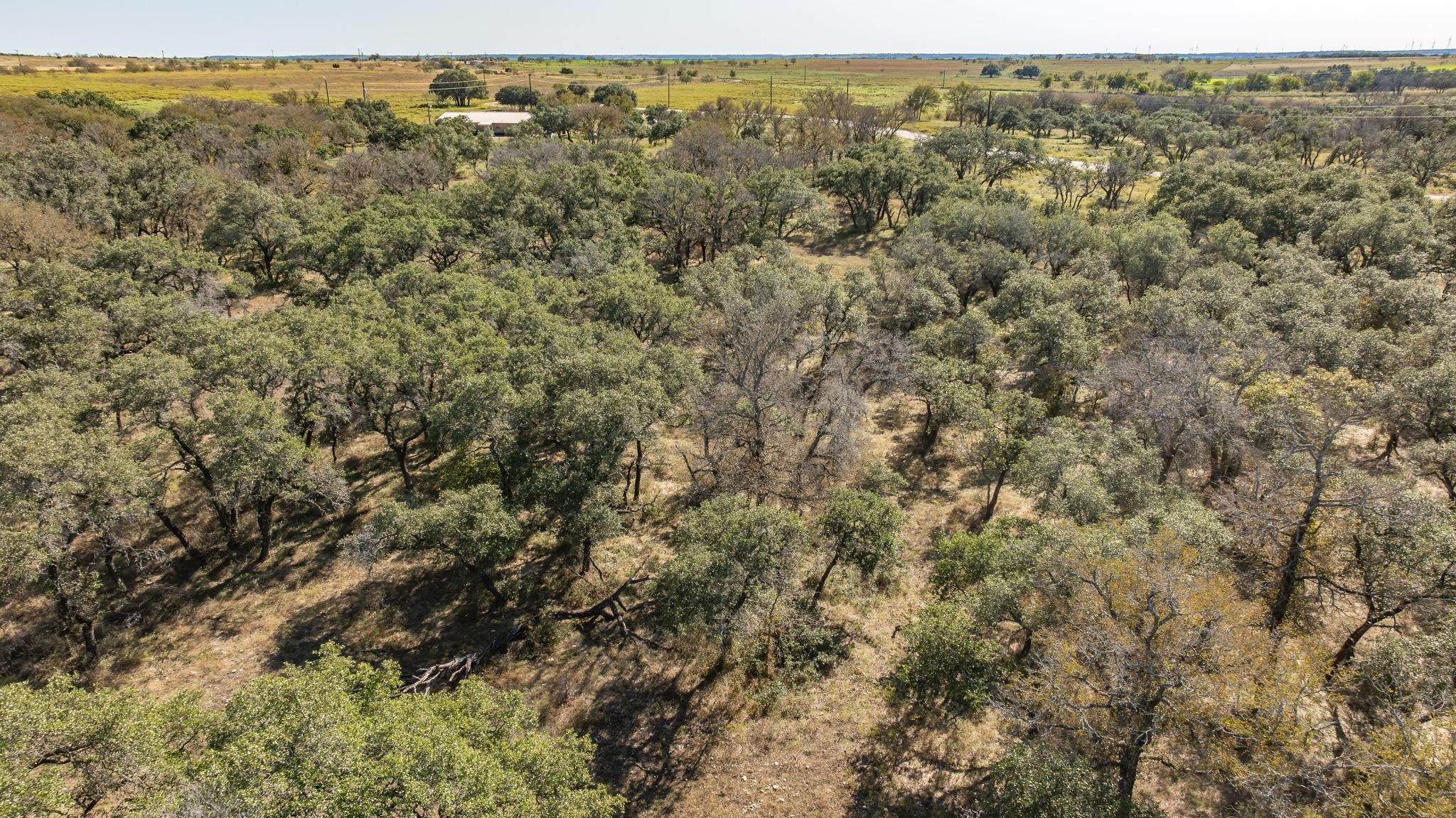 Lot 12 Pecan Valley Drive Energy TX 76452