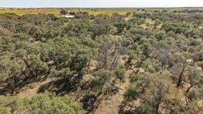 Lot 12 Pecan Valley Drive Energy TX 76452