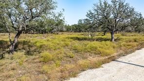 Lot 12 Pecan Valley Drive Energy TX 76452