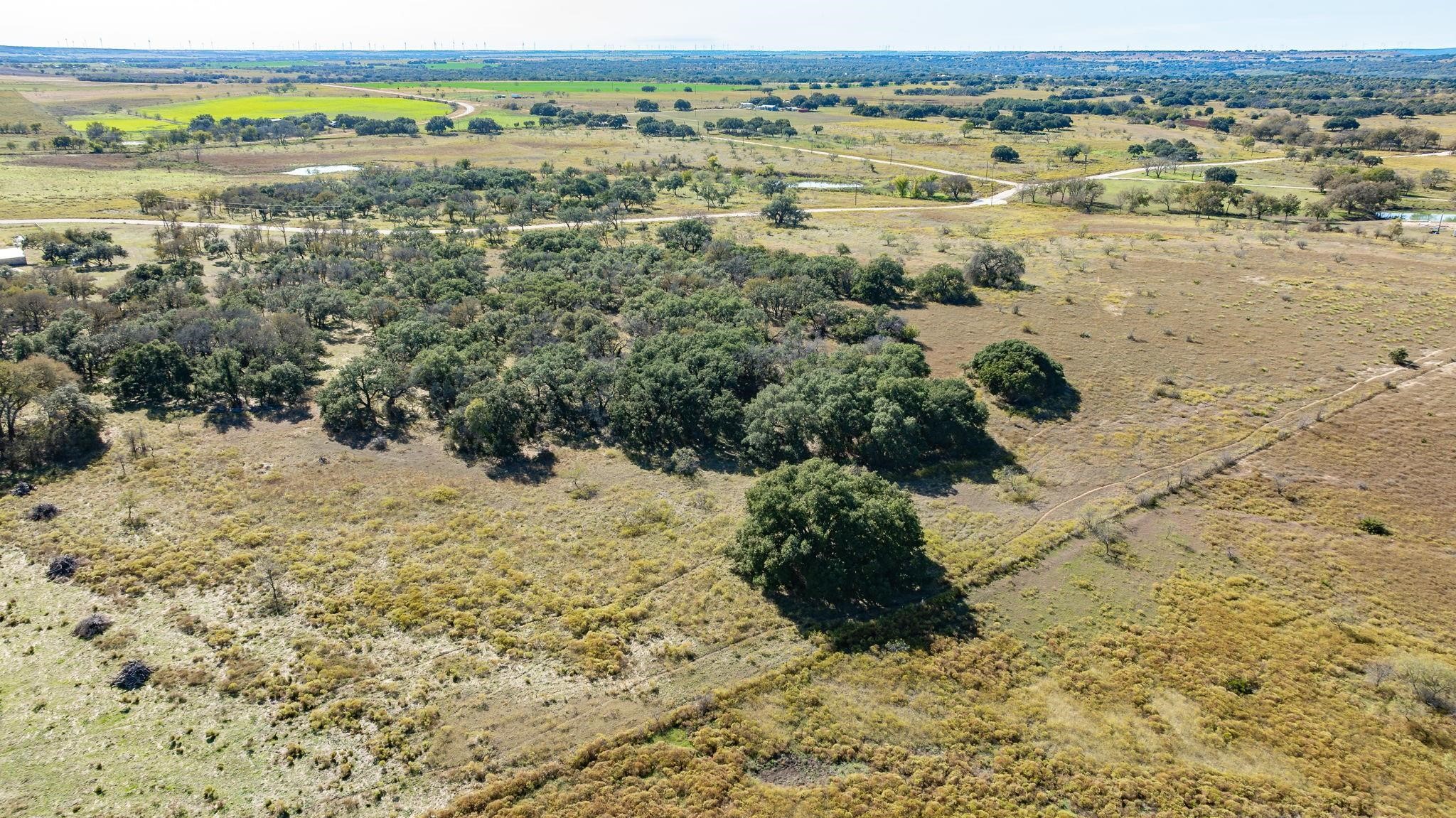 Lot 12 Pecan Valley Drive Energy TX 76452