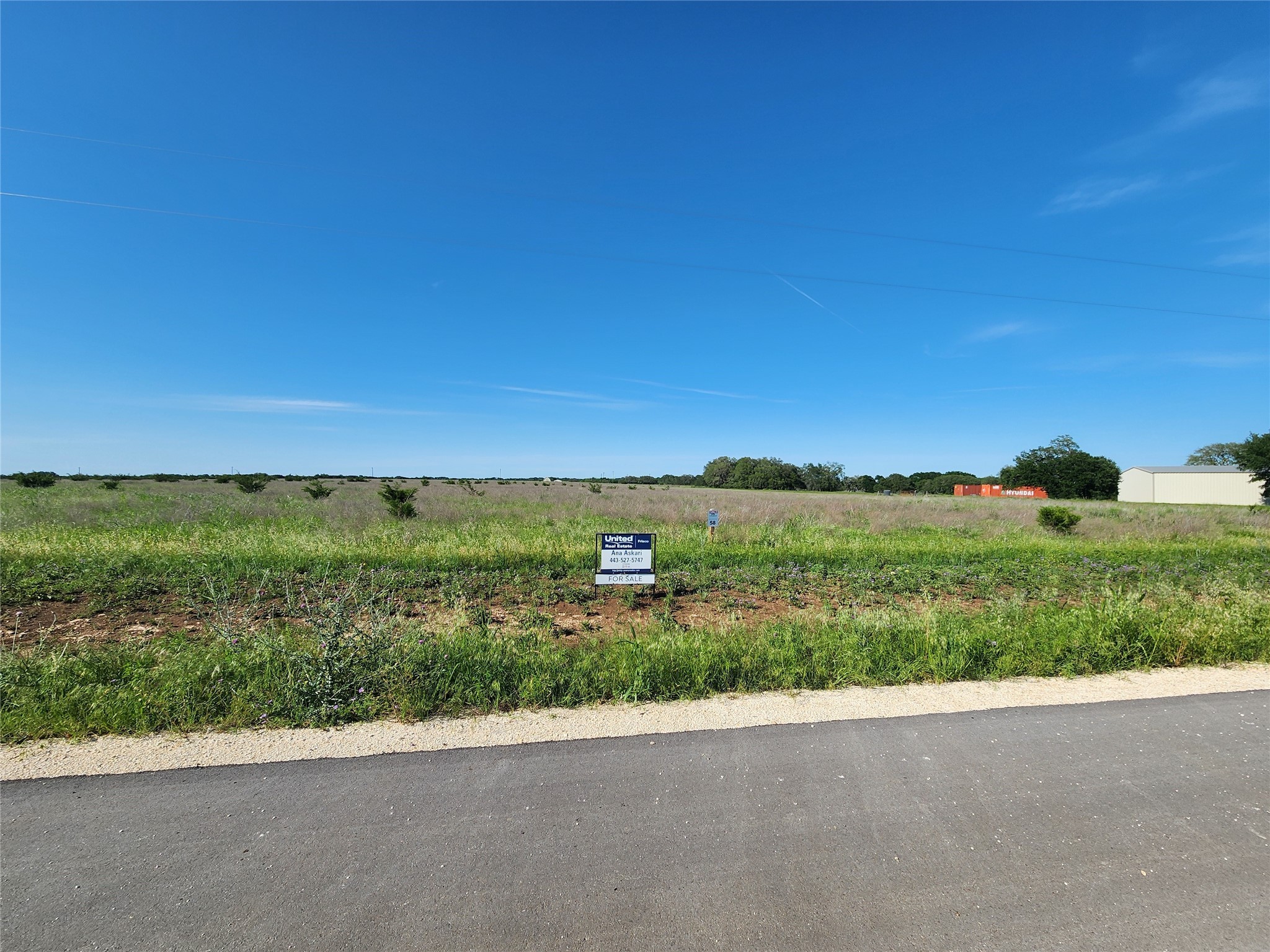 366 Yellowstone Drive Oglesby TX 76561