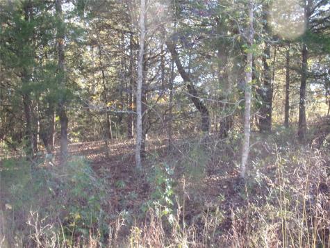 000 Woodcreek Drive Murchison TX 75778