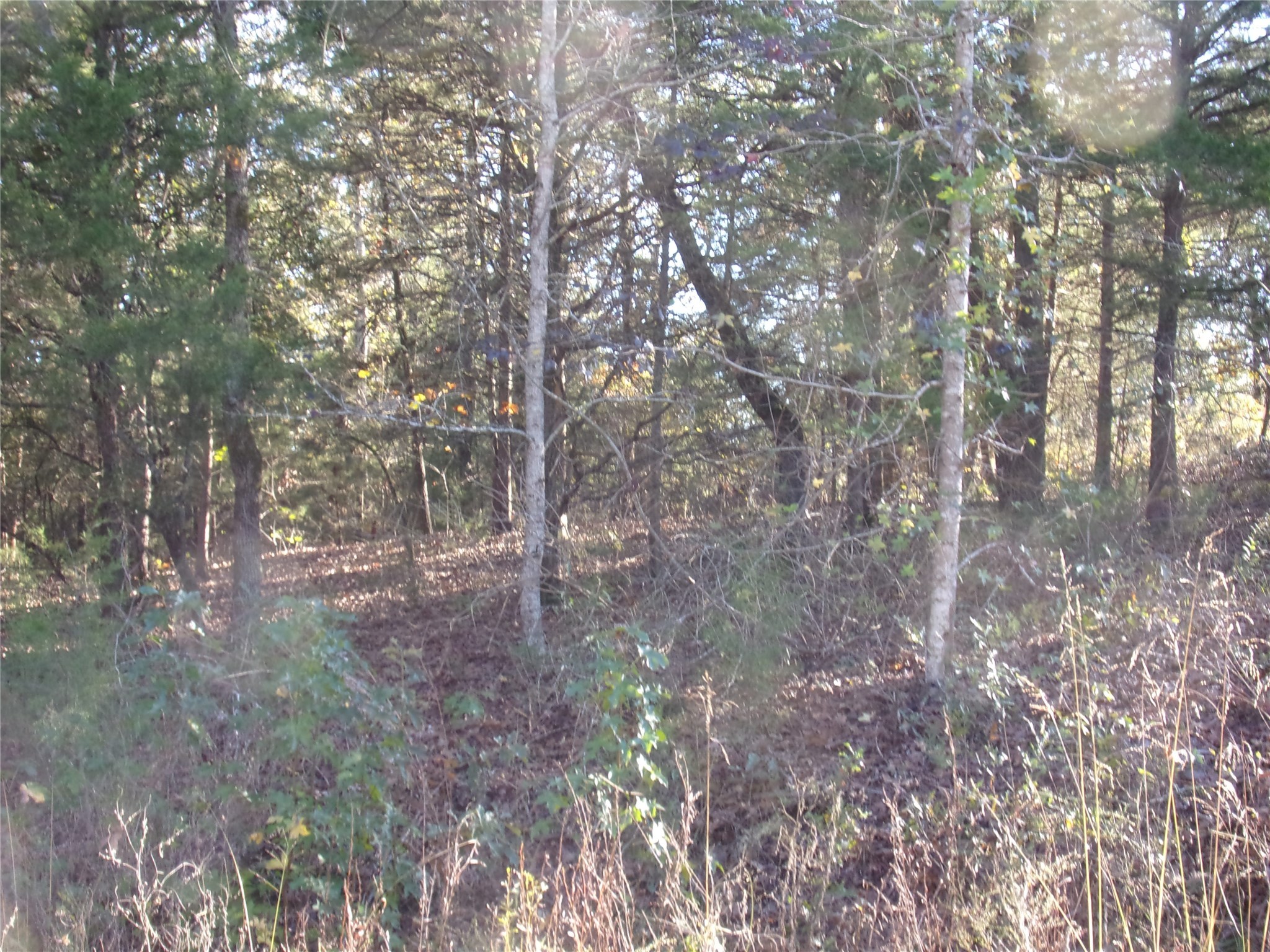 000 Woodcreek Drive Murchison TX 75778