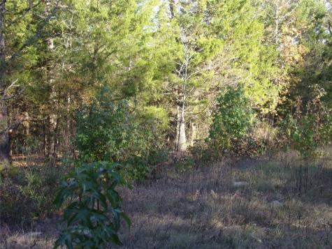000 Woodcreek Drive Murchison TX 75778