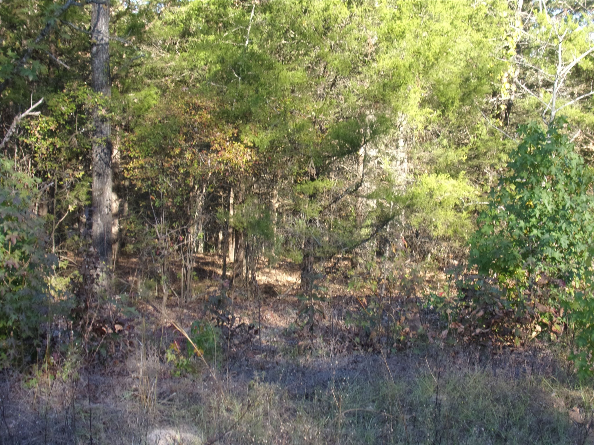 000 Woodcreek Drive Murchison TX 75778