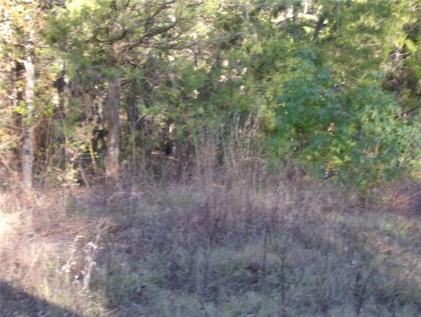 000 Woodcreek Drive Murchison TX 75778