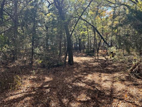 Tbd Lot 8 Clark Road Gainesville TX 76240