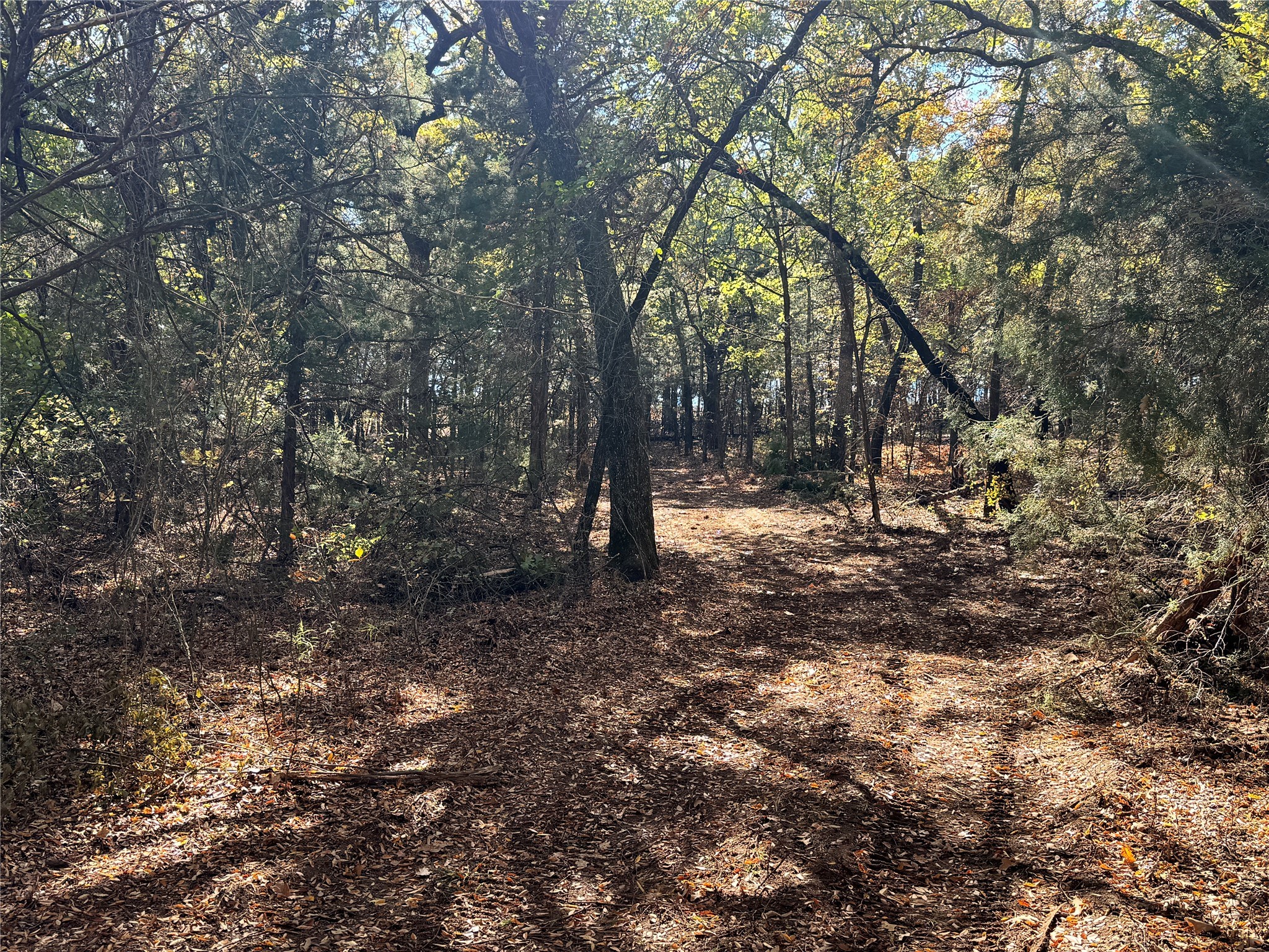 Tbd Lot 8 Clark Road Gainesville TX 76240