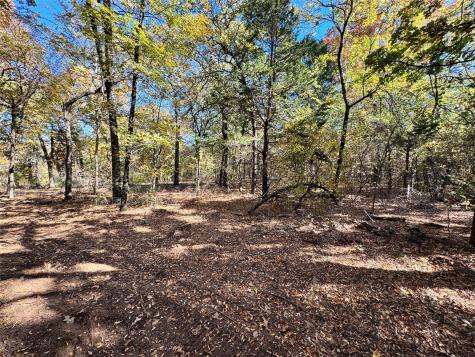 Tbd Lot 8 Clark Road Gainesville TX 76240