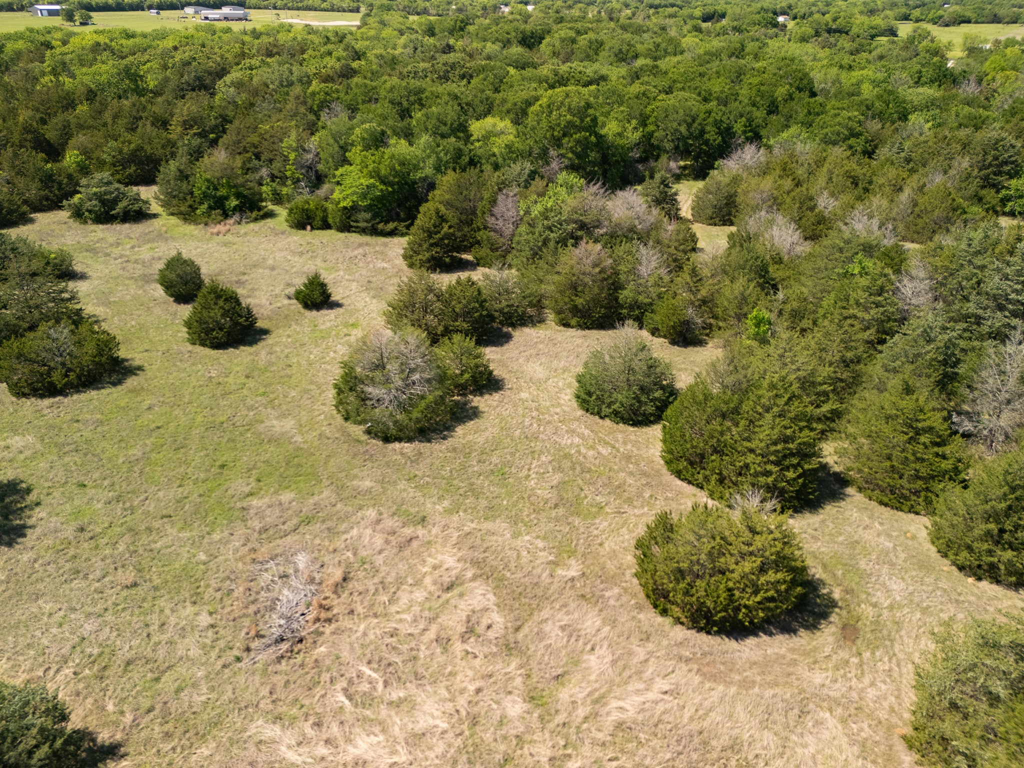 13 Acres County Road 1134 Lone Oak TX 75453