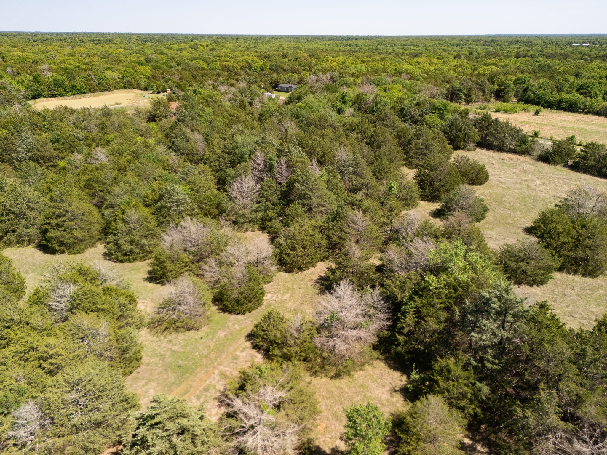13 Acres County Road 1134 Lone Oak TX 75453