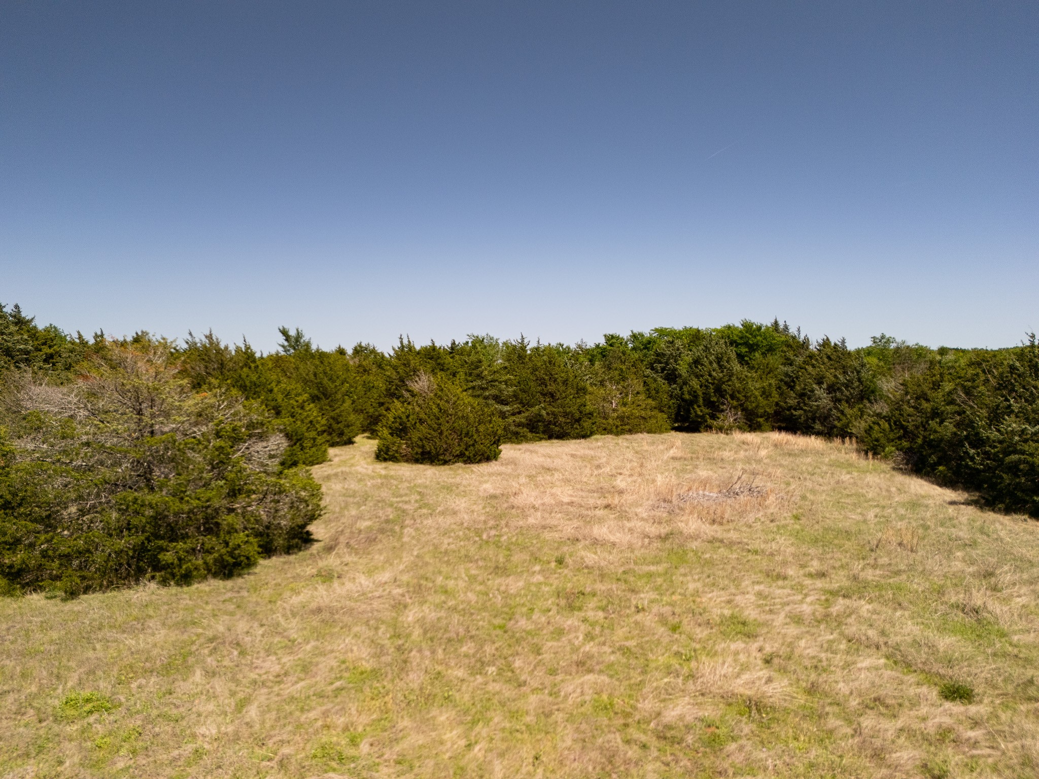 13 Acres County Road 1134 Lone Oak TX 75453