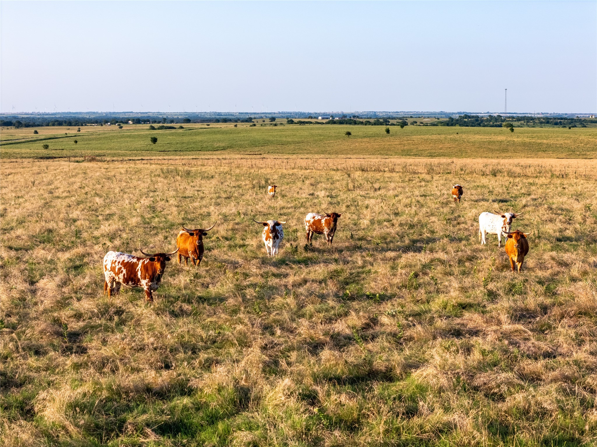 12370 Fortenberry Road Sanger TX 76226