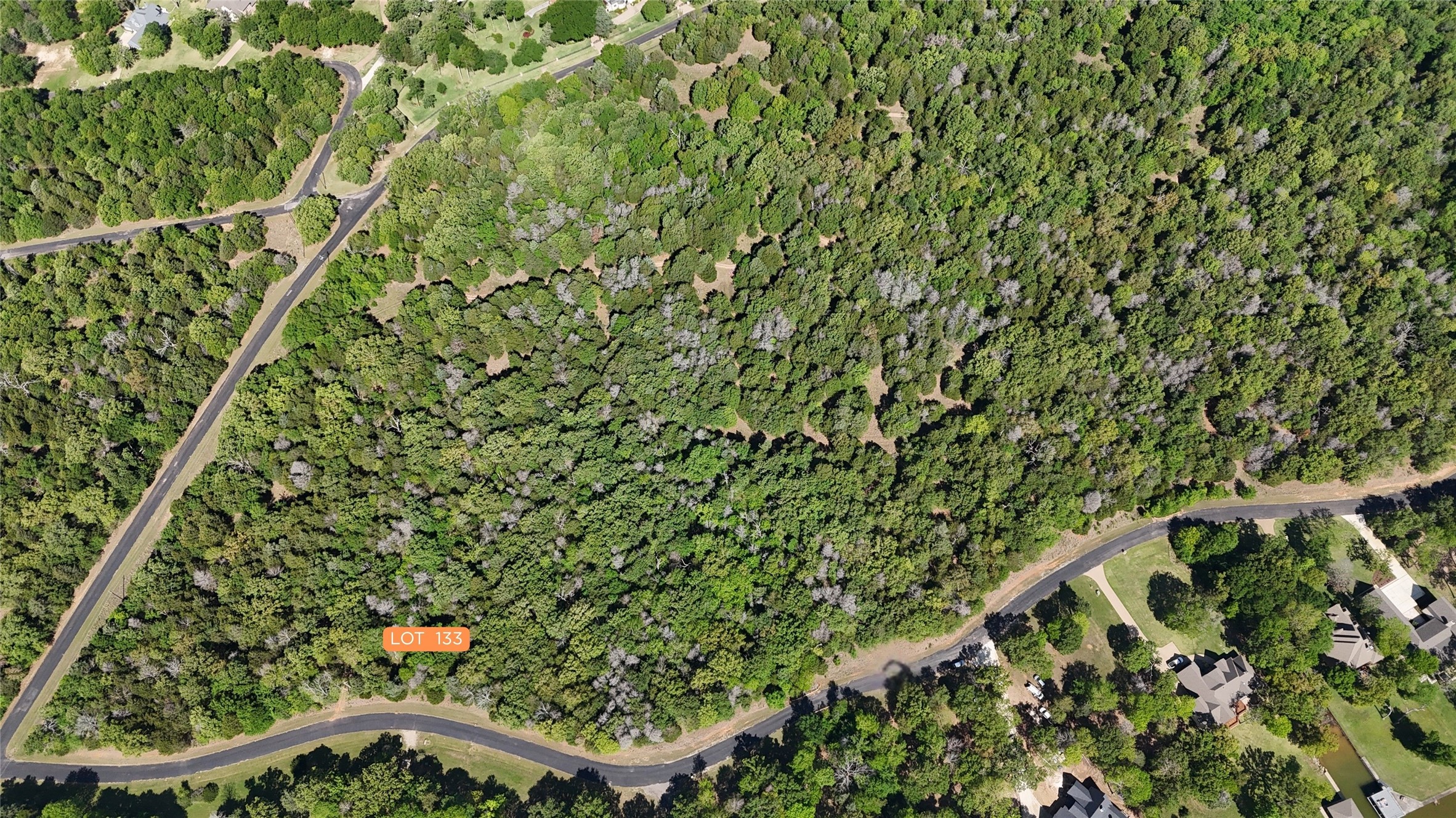 Lot 133 Lincoln Drive Streetman TX 75859