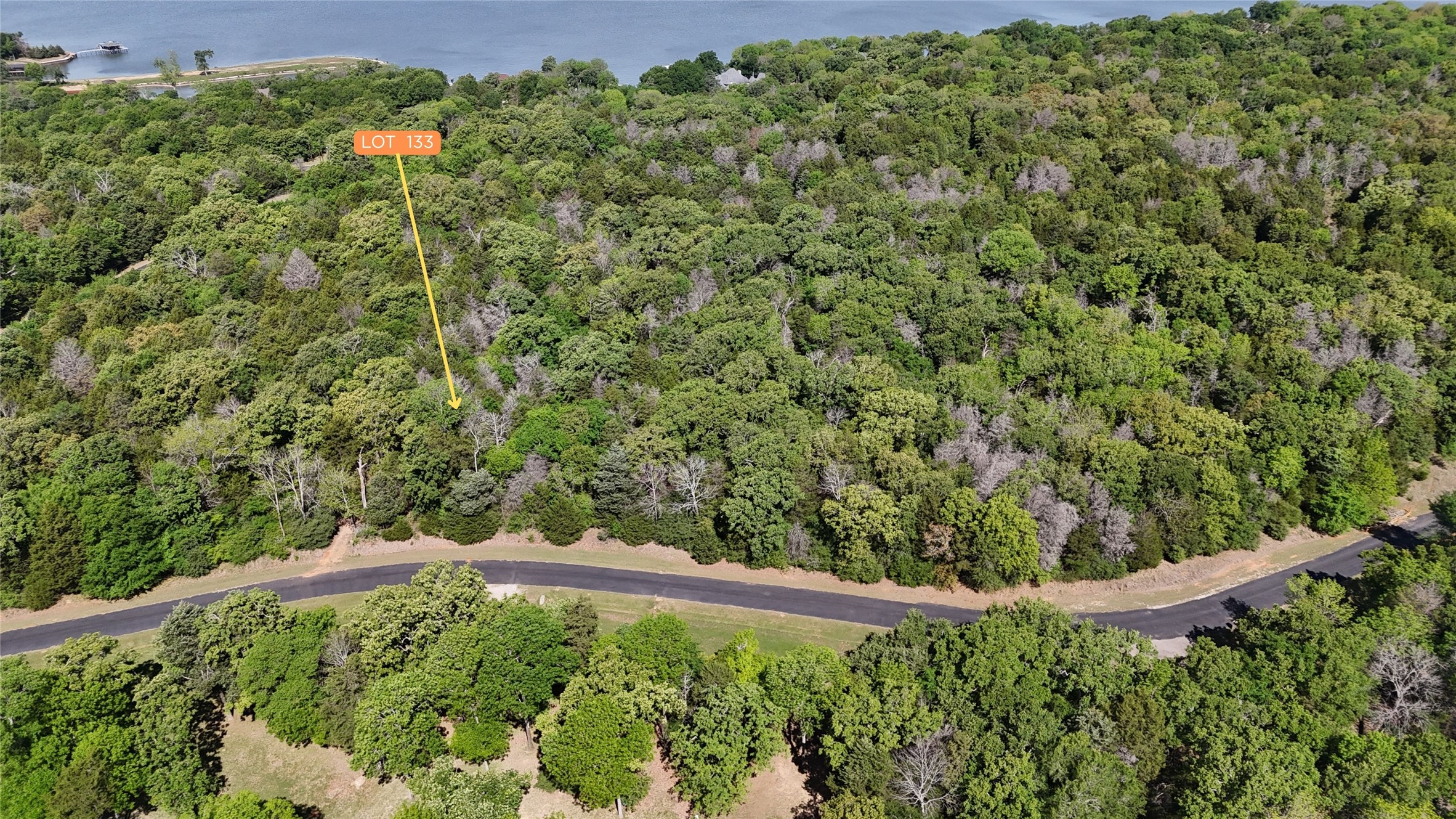 Lot 133 Lincoln Drive Streetman TX 75859