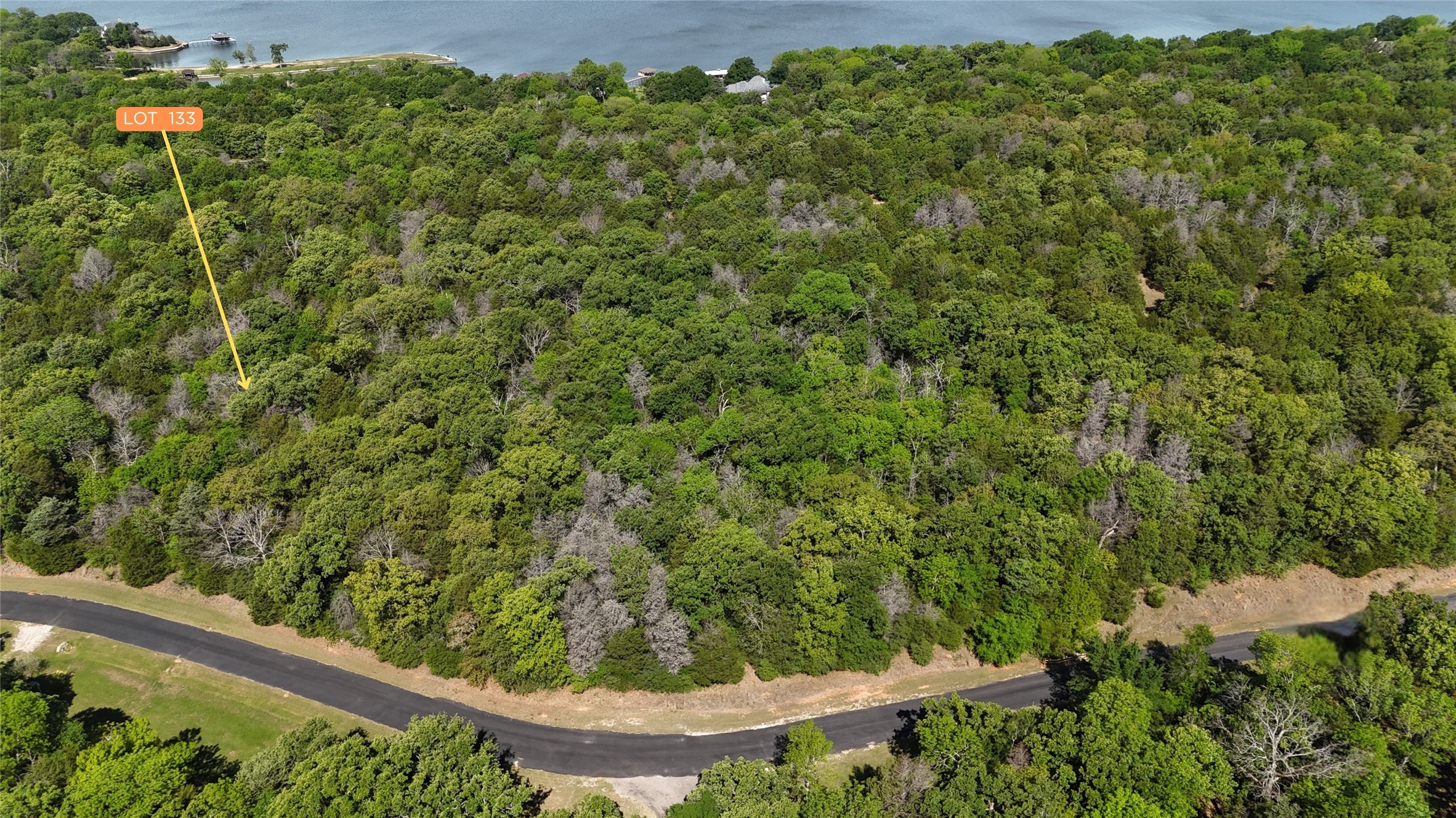 Lot 133 Lincoln Drive Streetman TX 75859