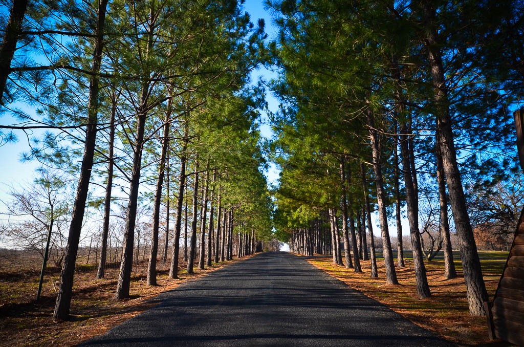 Lot 133 Lincoln Drive Streetman TX 75859