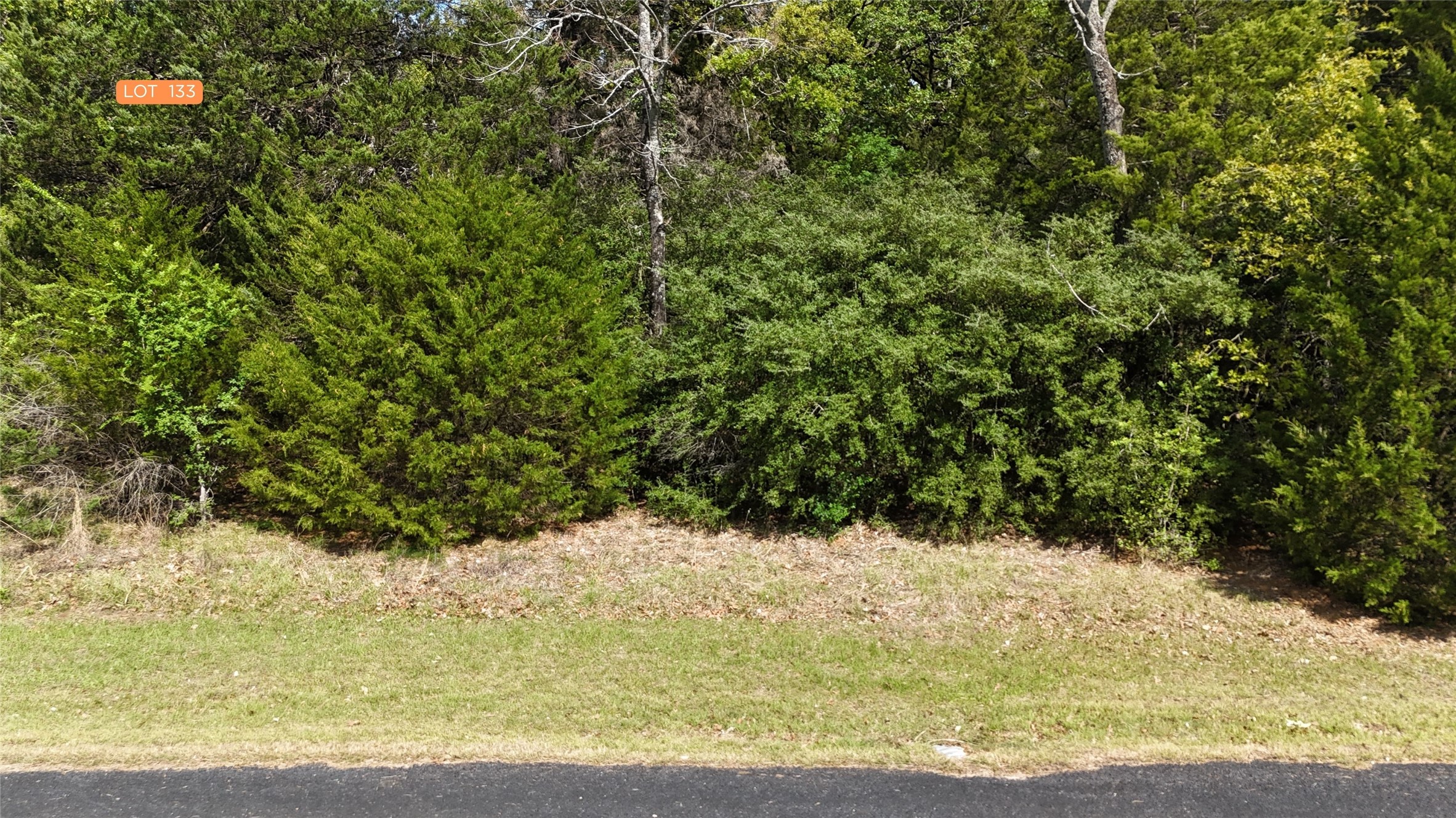 Lot 133 Lincoln Drive Streetman TX 75859