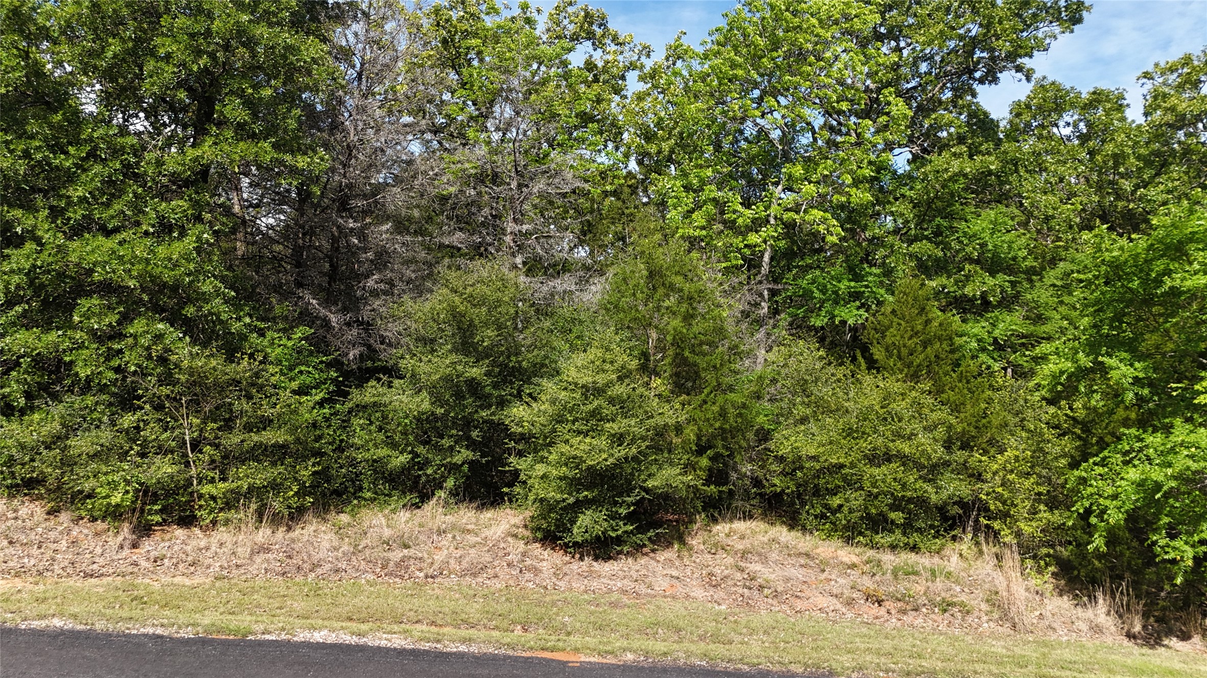 Lot 133 Lincoln Drive Streetman TX 75859