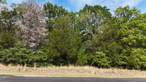 Lot 133 Lincoln Drive Streetman TX 75859