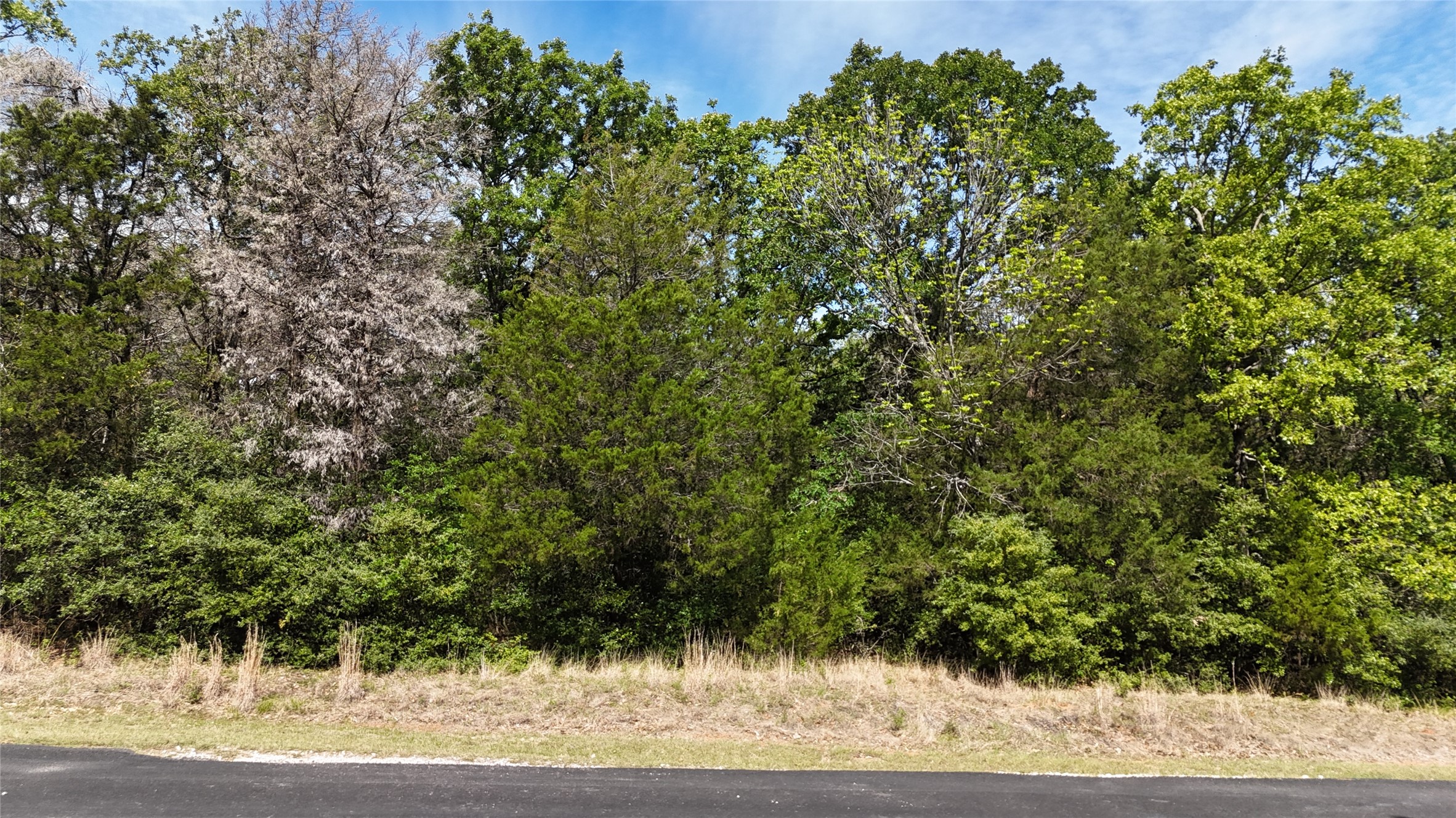 Lot 133 Lincoln Drive Streetman TX 75859