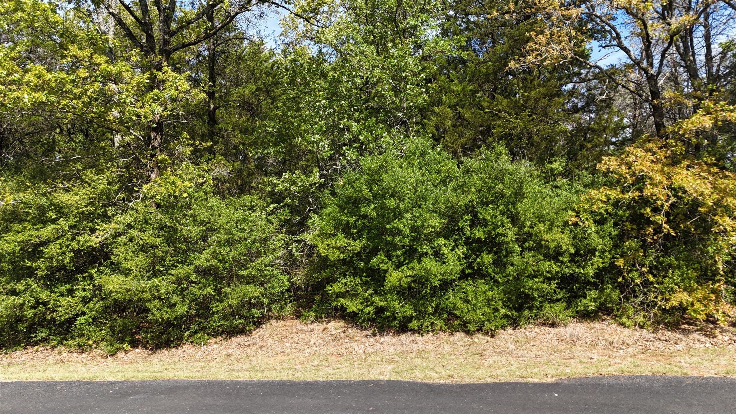 Lot 133 Lincoln Drive Streetman TX 75859