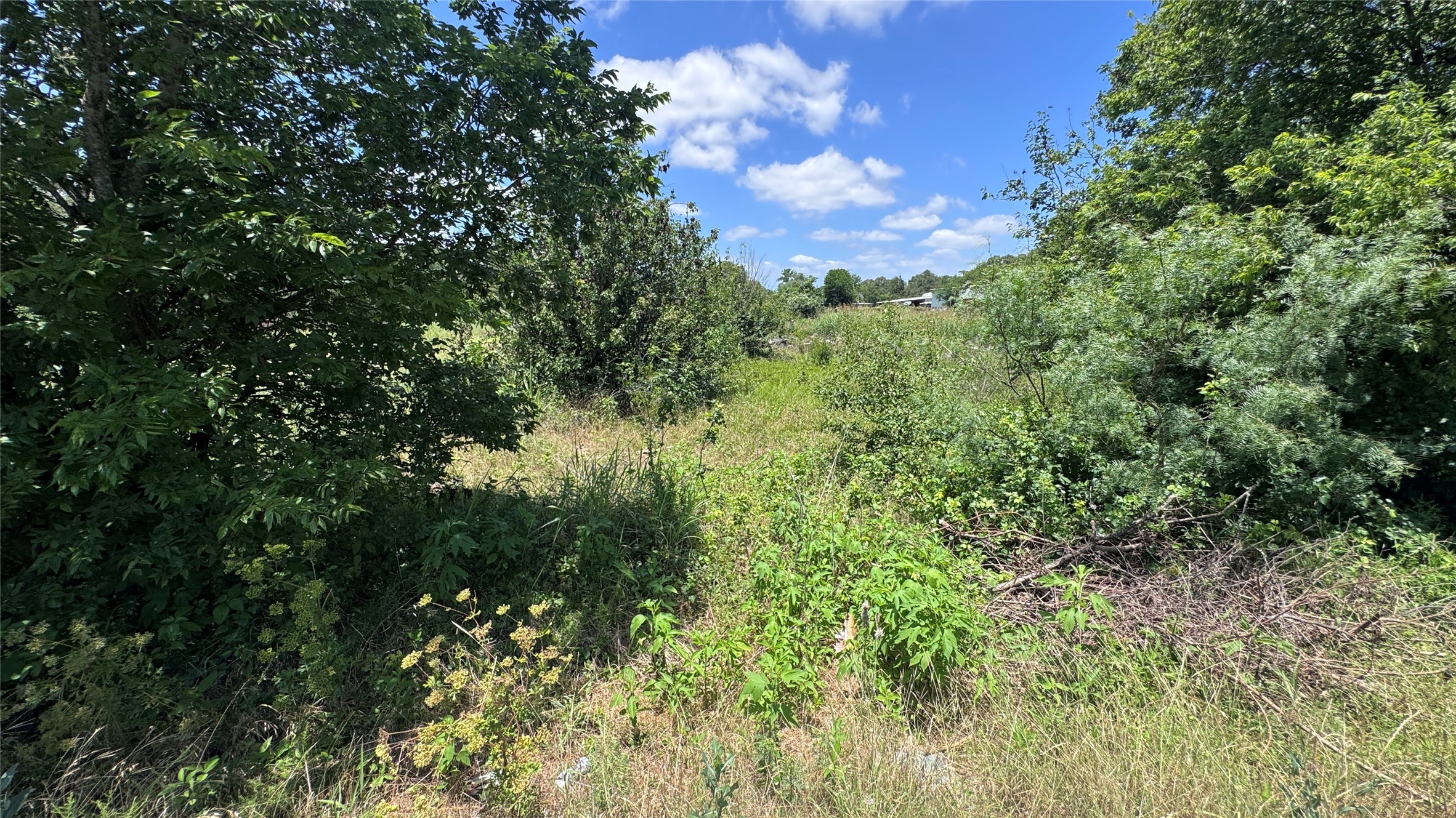 Tbd Michigan Street Bellmead TX 76705