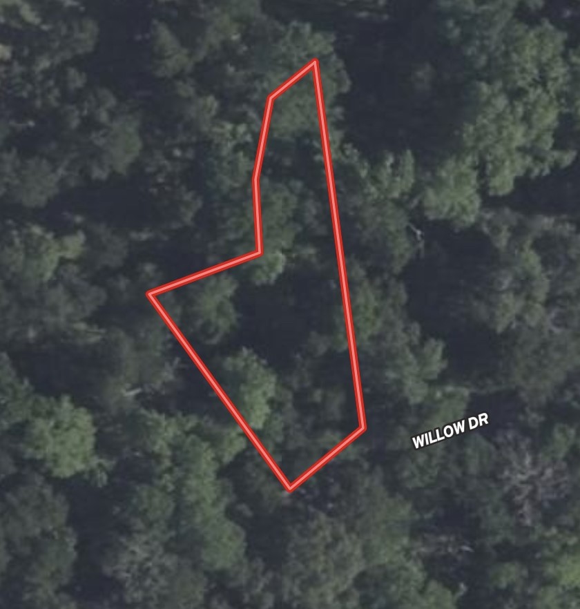 Lot 118 Willow Drive Wills Point TX 75169