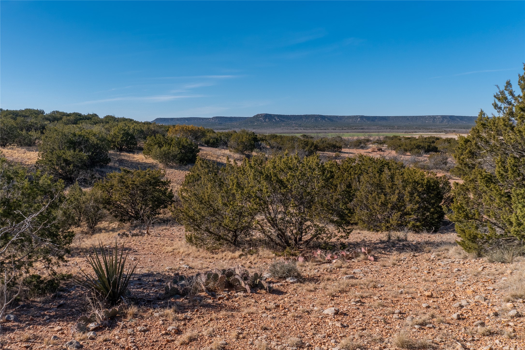 T2 County Road 175 Winters TX 79567