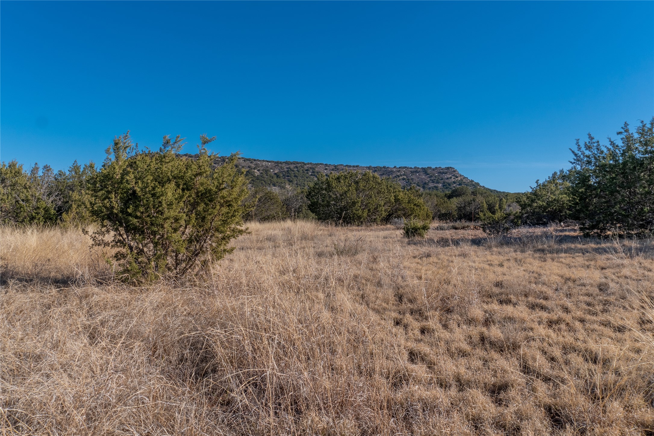T2 County Road 175 Winters TX 79567