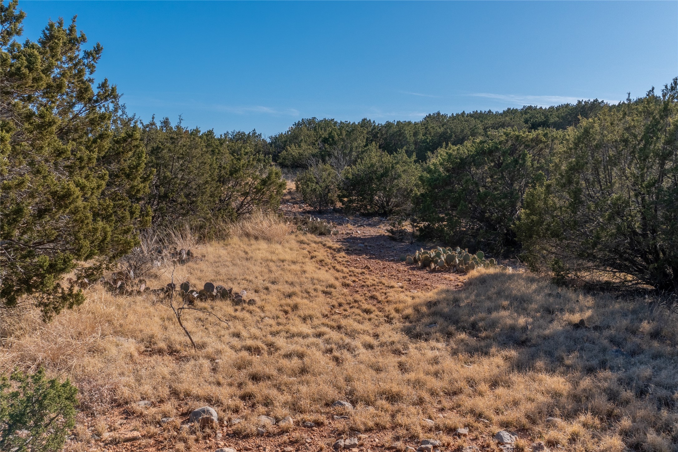 T2 County Road 175 Winters TX 79567