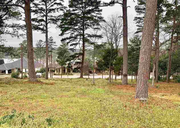 425 Hideaway Central Hideaway TX 75771