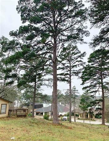 425 Hideaway Central Hideaway TX 75771