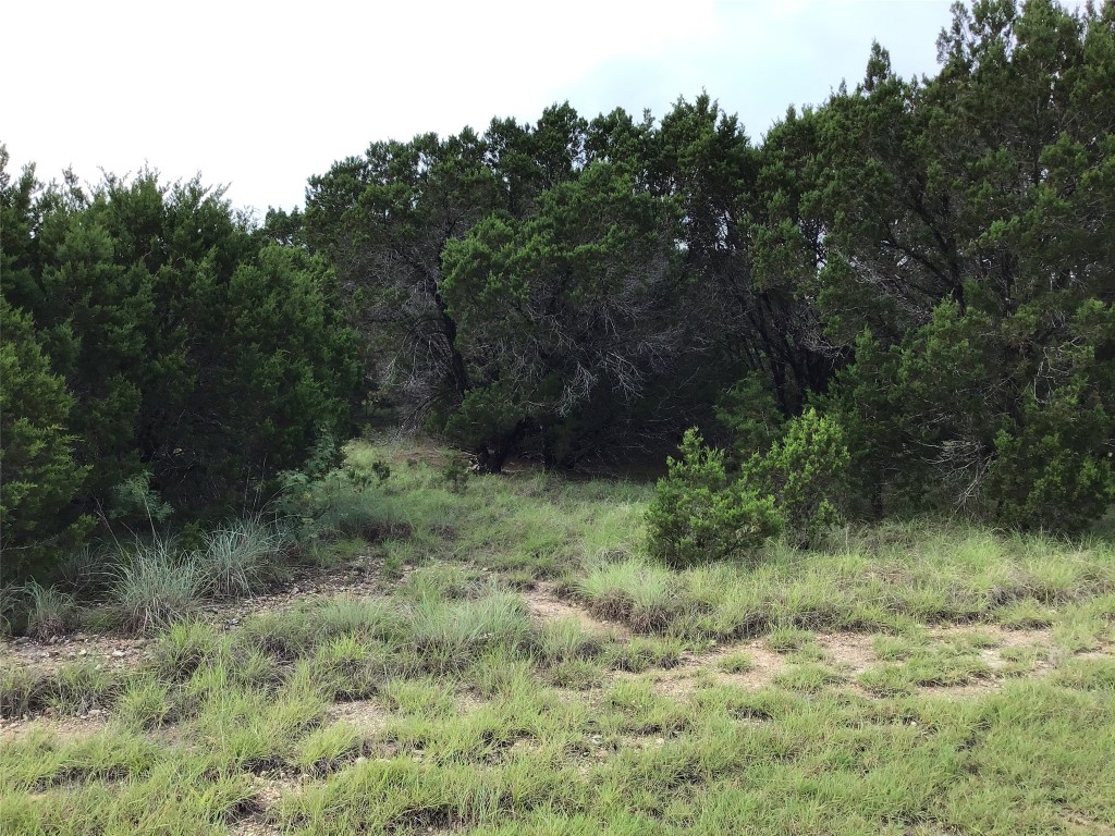 43020 Whisperwood Drive Whitney TX 76692