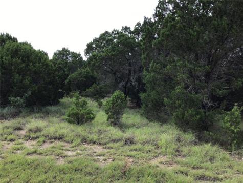 43020 Whisperwood Drive Whitney TX 76692
