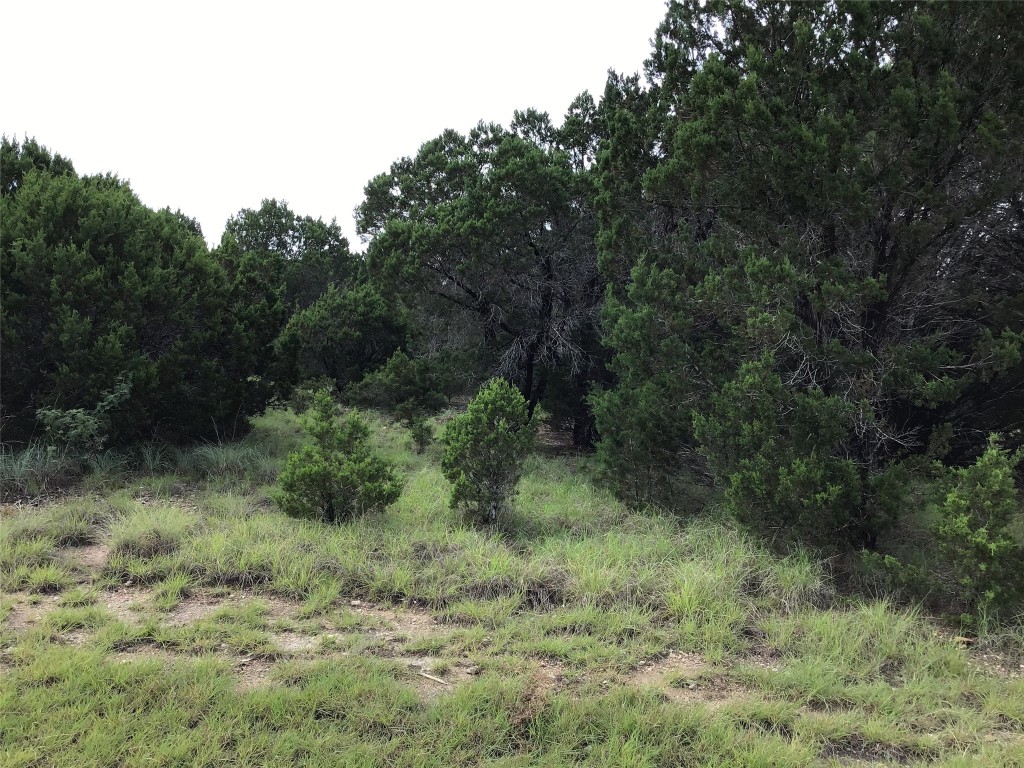 43020 Whisperwood Drive Whitney TX 76692
