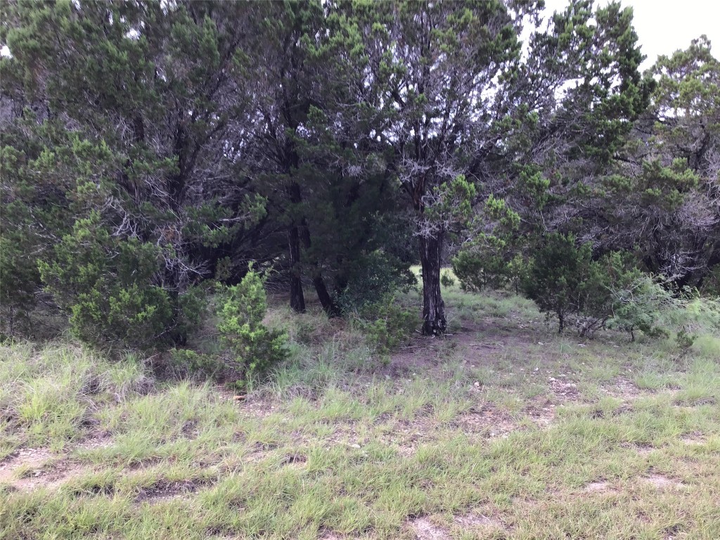43020 Whisperwood Drive Whitney TX 76692