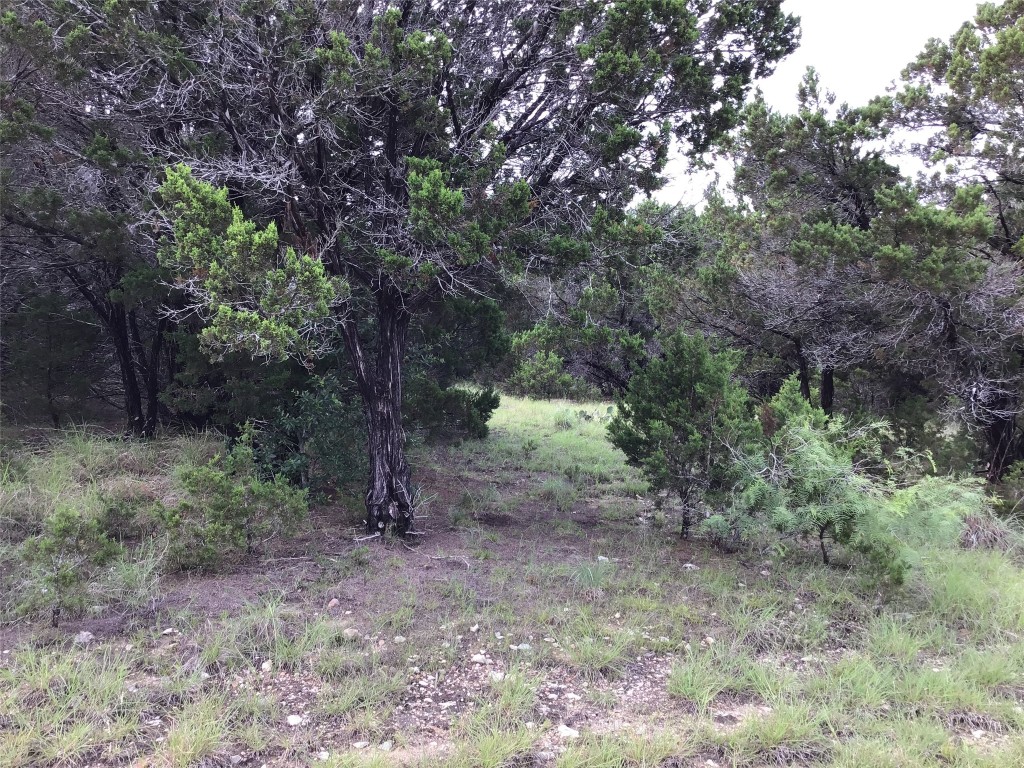 43020 Whisperwood Drive Whitney TX 76692