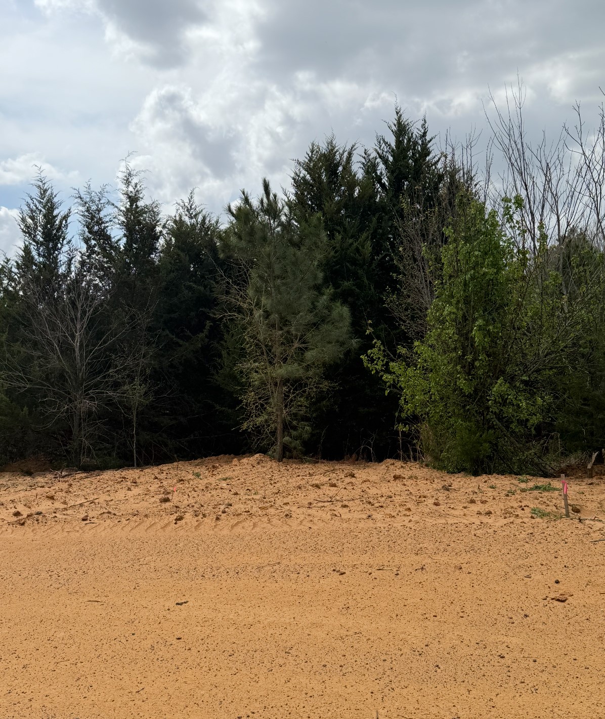 3552 Fm 3136 Lot 11 Coyote Flats TX 76031